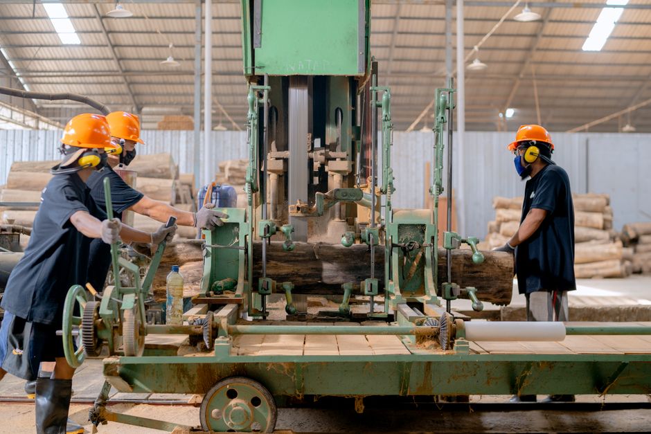 Unlocking the Secrets: How Wood Processing Factories Transform Logs into Usable Lumber