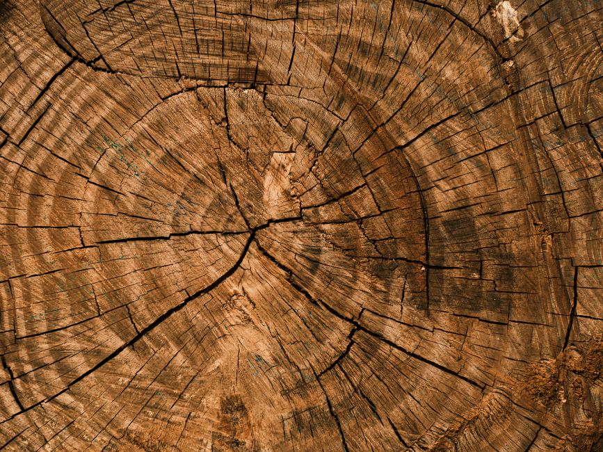 Why Solid Timber Products Are the Ultimate Choice for Durability and Style