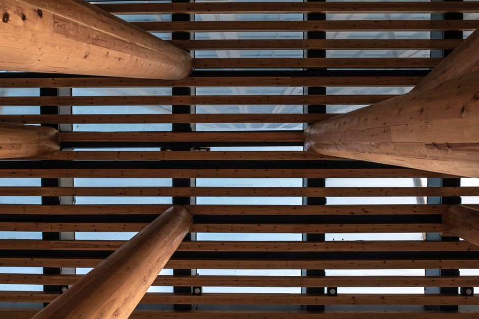 Discover the Art of Timber Craftsmanship: A Journey from Tree to Masterpiece